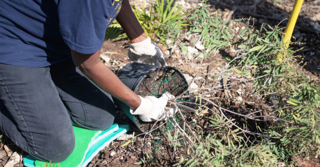 Best Plants for Combating Urban Pollution