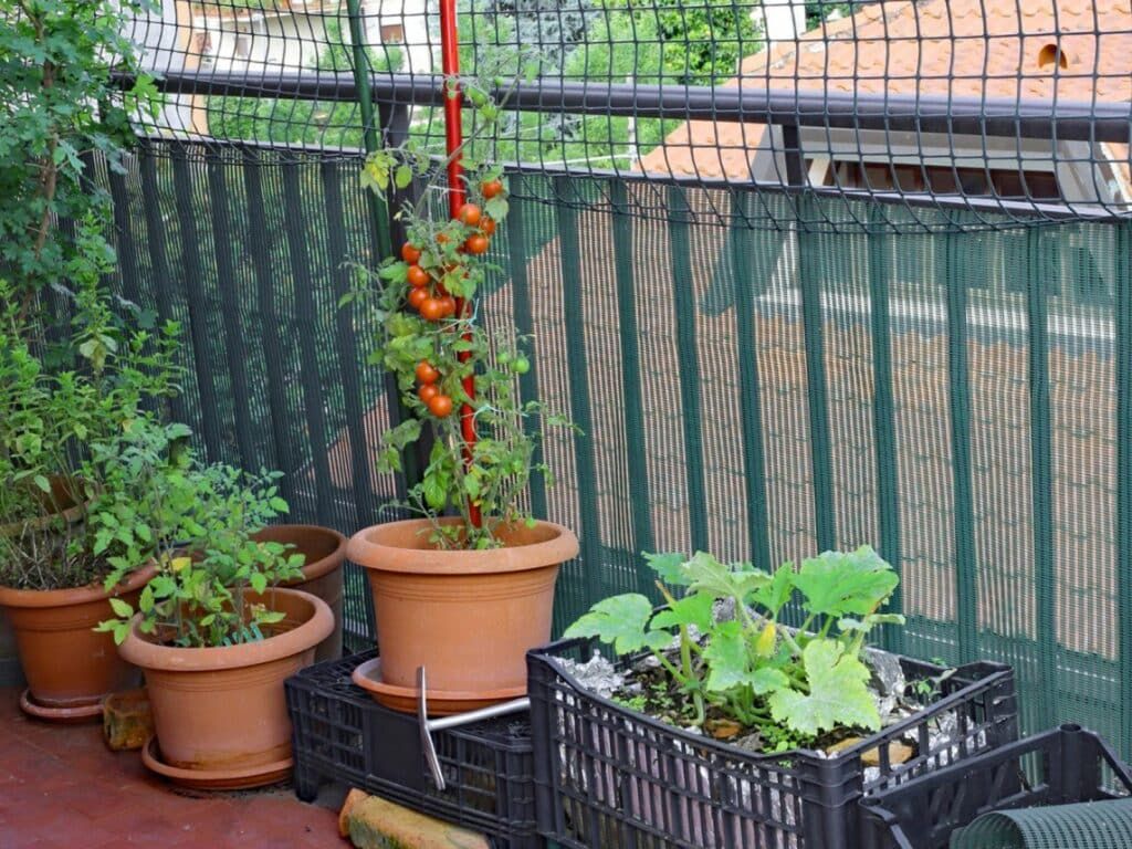 Best Plants for Urban Gardening: Your Complete City Growing Guide 1 Best Plants for Urban Gardening