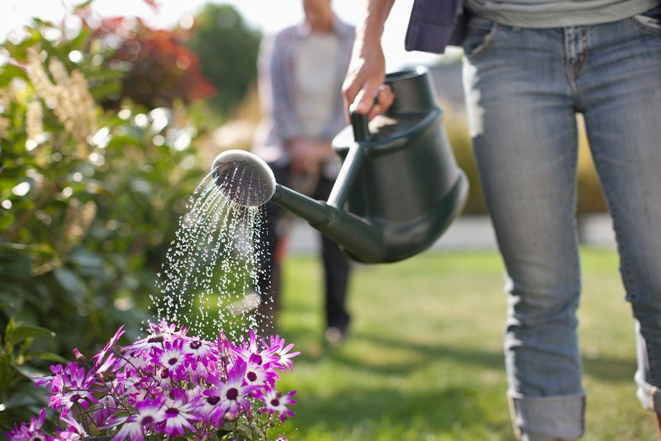 Why Gardening Is Good for Mental Health: The Science-Backed Guide to Therapeutic Horticulture 9 Gardening Is Good for Mental Health