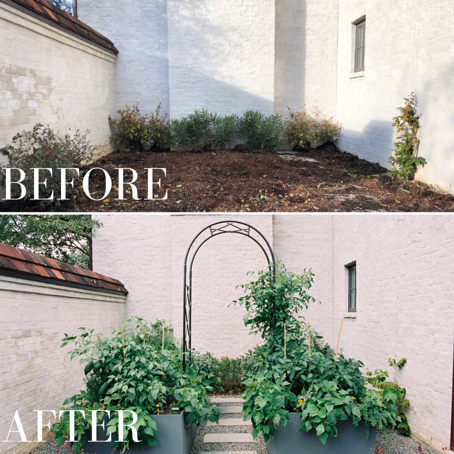 Garden Designs: 15 Stunning Ideas That Transform Your Outdoor Space in 2025 4 Garden Design