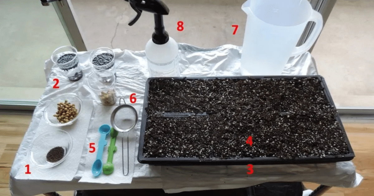 Urban Farming is Growing a Greener Future: Your Complete Guide to City Agriculture 5 Urban Farming is Growing a Greener Future