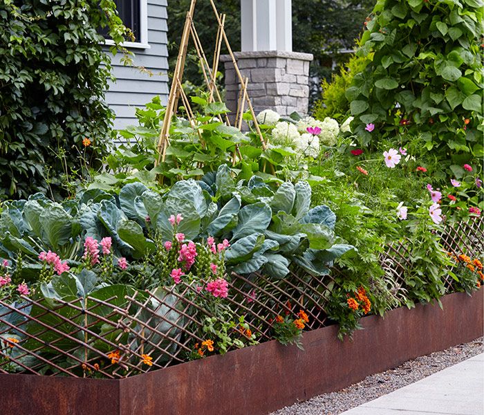 Garden Designs: 15 Stunning Ideas That Transform Your Outdoor Space in 2025 14 Garden Design