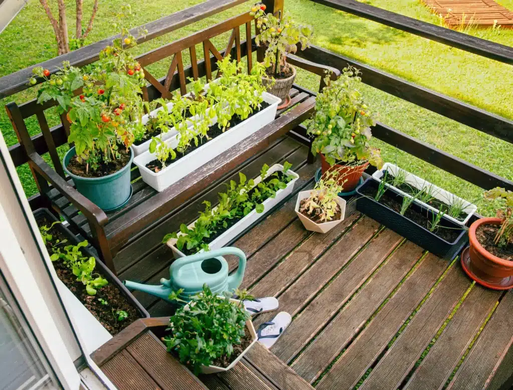 Best Plants for Urban Gardening: Your Complete City Growing Guide 12 Best Plants for Urban Gardening
