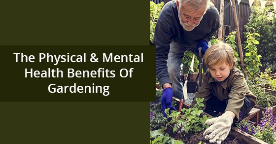 Why Gardening Is Good for Mental Health: The Science-Backed Guide to Therapeutic Horticulture 11 Gardening Is Good for Mental Health