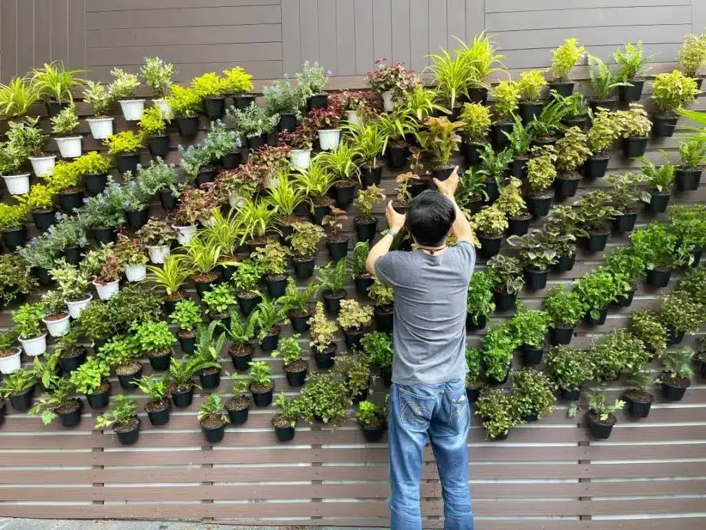 Best Plants for Urban Gardening: Your Complete City Growing Guide 13 Best Plants for Urban Gardening