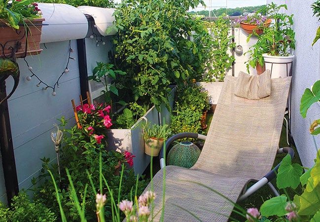 How to Grow Vegetables in Pots: Your Complete Urban Gardening Guide 5 How to Grow Vegetables in Pots