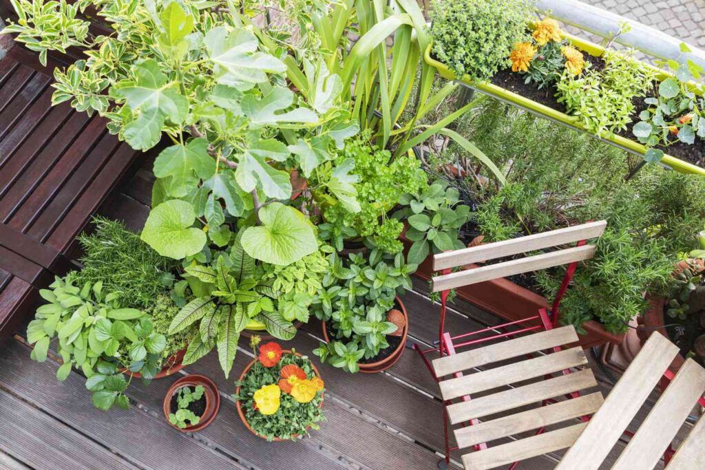 Urban Farming is Growing a Greener Future: Your Complete Guide to City Agriculture 1 Urban Farming is Growing a Greener Future
