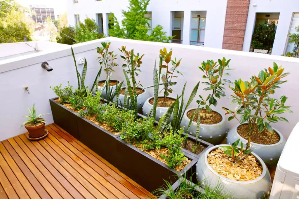 Urban Farming is Growing a Greener Future