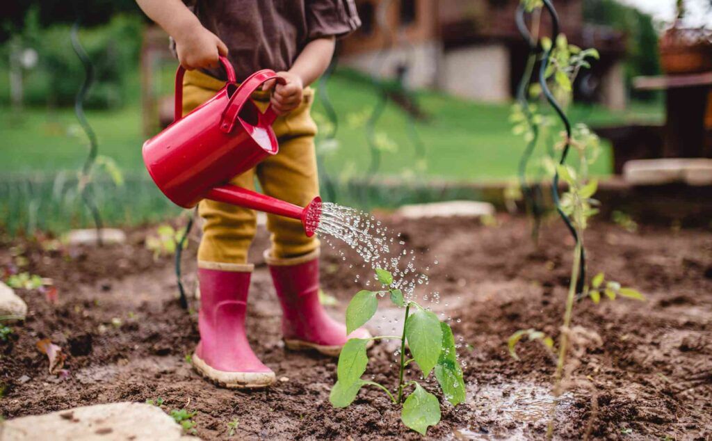 Why Gardening Is Good for Mental Health: The Science-Backed Guide to Therapeutic Horticulture 8 Gardening Is Good for Mental Health