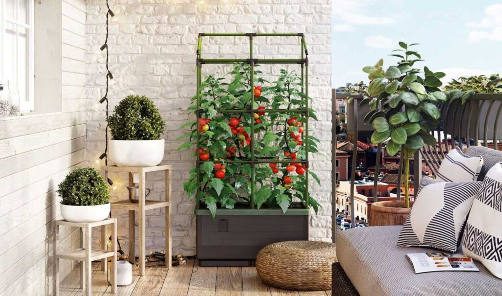 Best Plants for Urban Gardening: Your Complete City Growing Guide 14 Best Plants for Urban Gardening