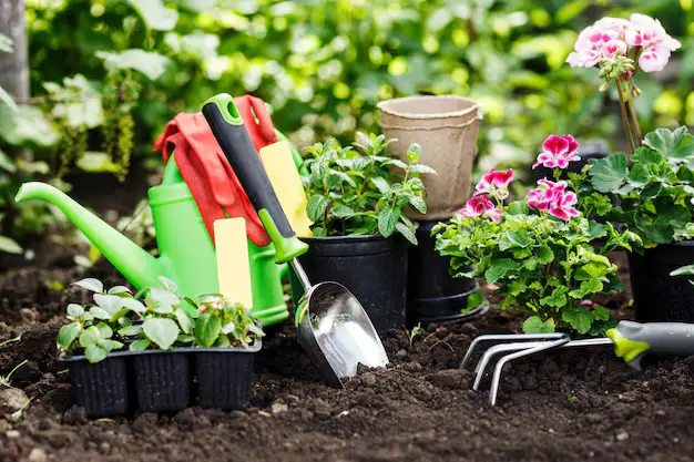 Why Gardening Is Good for Mental Health: The Science-Backed Guide to Therapeutic Horticulture 1 Gardening Is Good for Mental Health