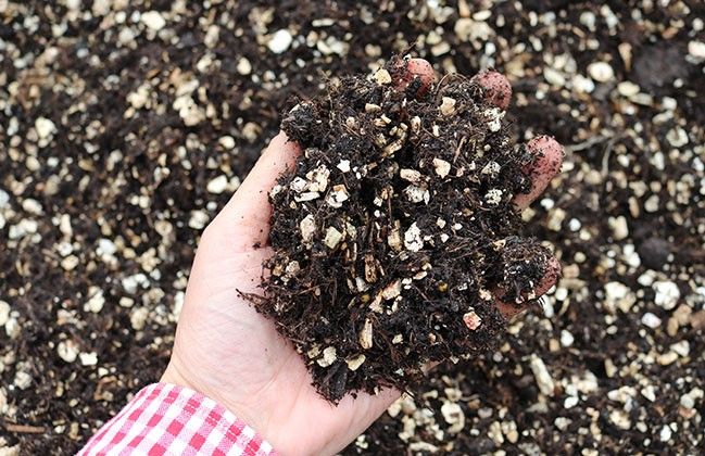 How to Grow Vegetables in Pots: Your Complete Urban Gardening Guide 9 How to Grow Vegetables in Pots