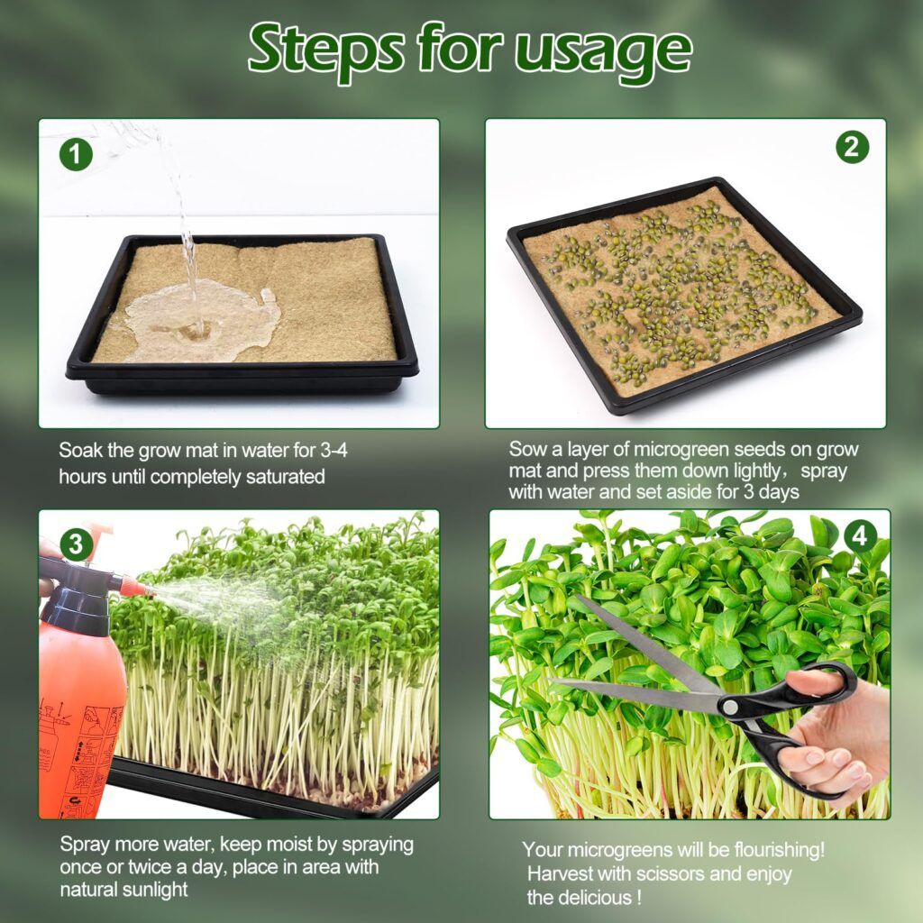 Microgreens Seed: From Germination to Harvest in Your Urban Garden 10 steps