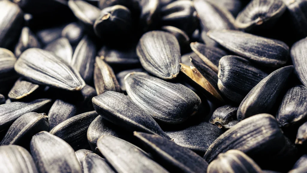 The Complete Guide to Growing Sunflower Microgreens: From Seed to Harvest in 10 Days 1 sunflower seeds