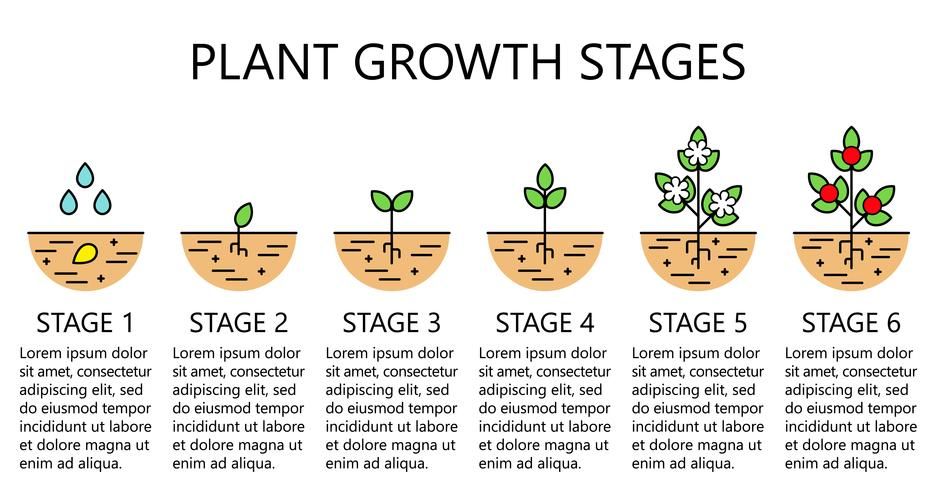 Why Gardening Is Good for Mental Health: The Science-Backed Guide to Therapeutic Horticulture 7 Gardening Is Good for Mental Health