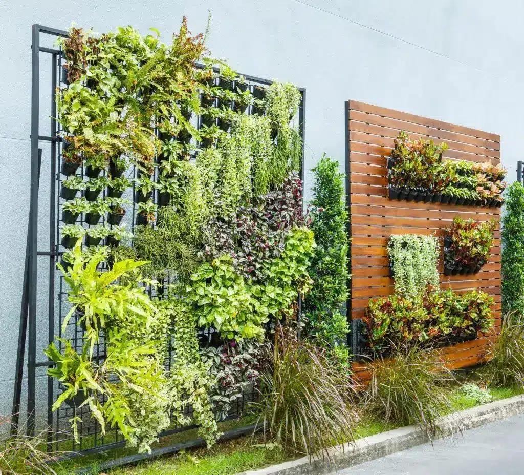 Best Plants for Urban Gardening: Your Complete City Growing Guide 4 Best Plants for Urban Gardening