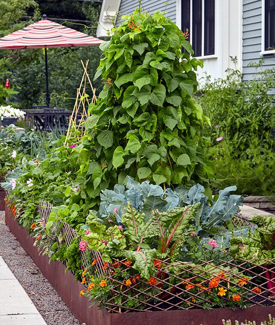 Garden Designs: 15 Stunning Ideas That Transform Your Outdoor Space in 2025 11 Garden Design