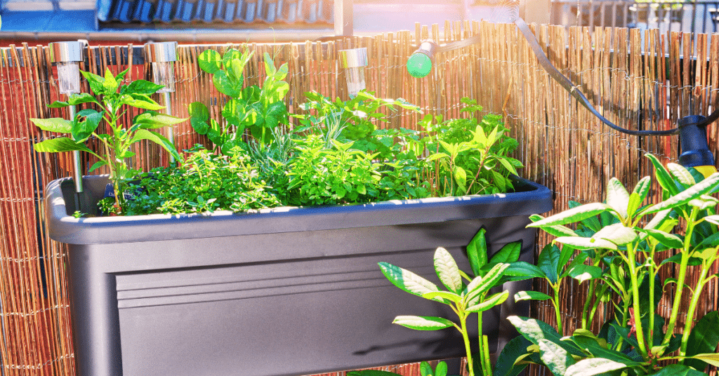 Fixing Common Problems in Balcony Gardens