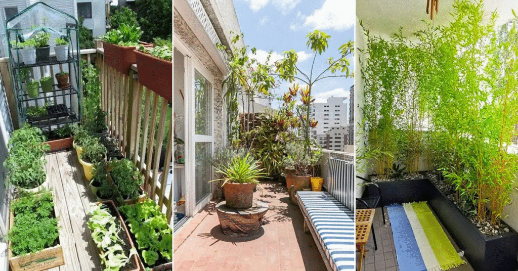 Fixing Common Problems in Balcony Gardens