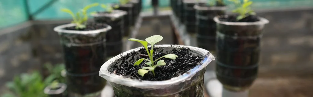 The Complete Guide to Microgreens Water: Perfect pH, Watering Methods & Solutions for Thriving Growth 7 Microgreens Water Requirements