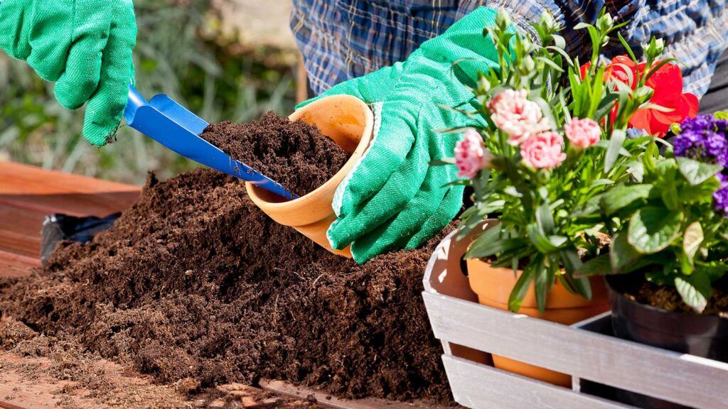 15 Common Mistakes New Urban Gardeners Make (And How to Avoid Them) 4 Poor Quality Soil