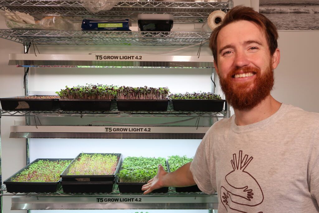 Selling Microgreens: Your Complete Guide to Building a Profitable Business 4 Selling Microgreens