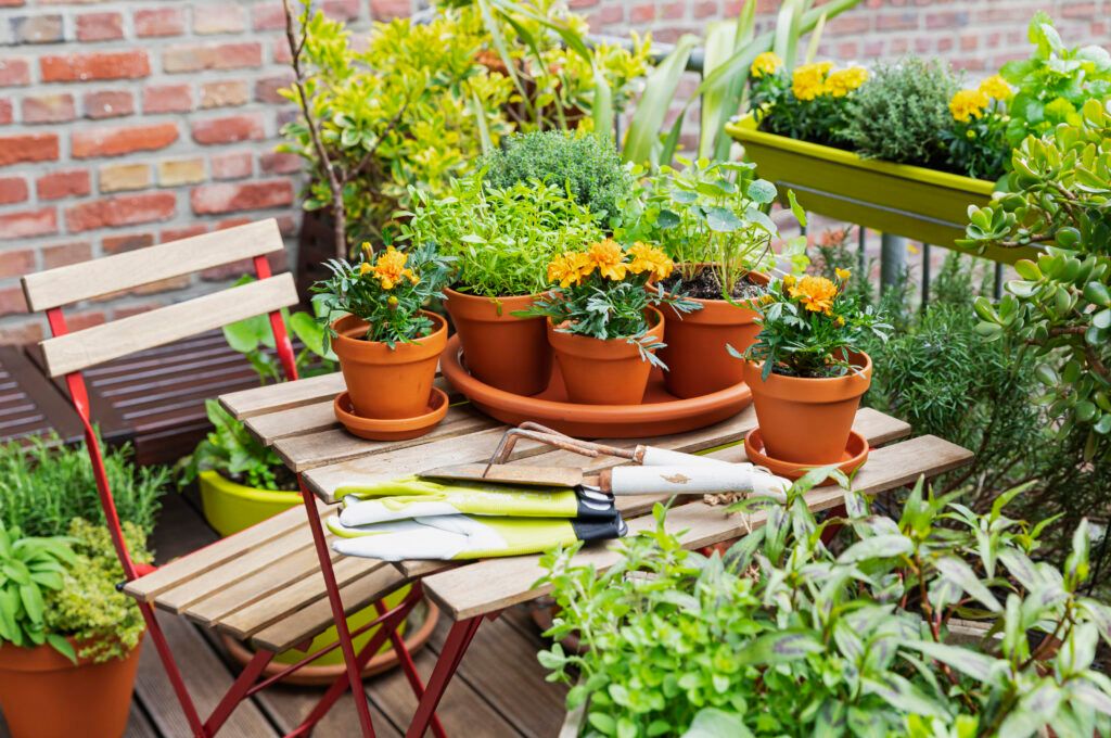 15 Common Mistakes New Urban Gardeners Make (And How to Avoid Them) 1 Starting Without Proper Planning