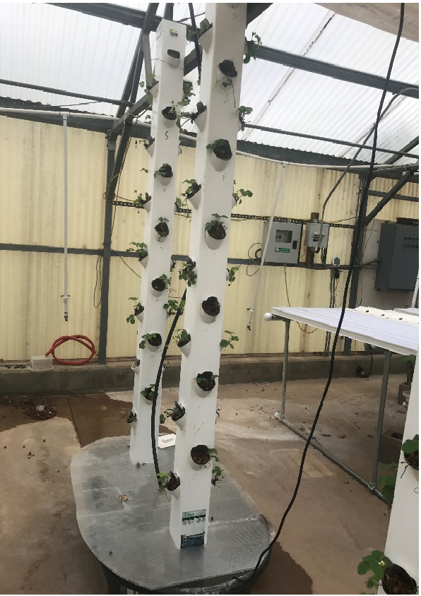 The Complete Guide to Vertical Gardening 1 Vertical Gardening