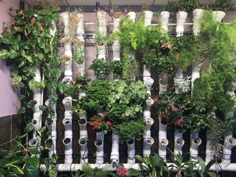 The Complete Guide to Vertical Gardening 2 Vertical Gardening