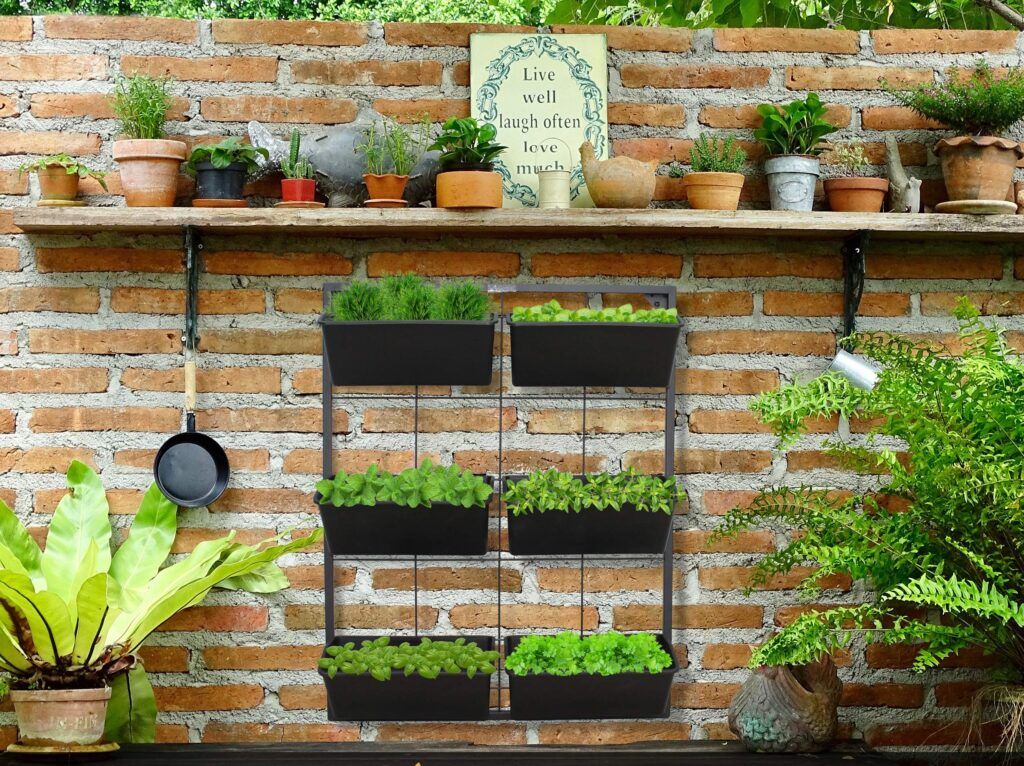 The Complete Guide to Vertical Gardening 4 Vertical Gardening