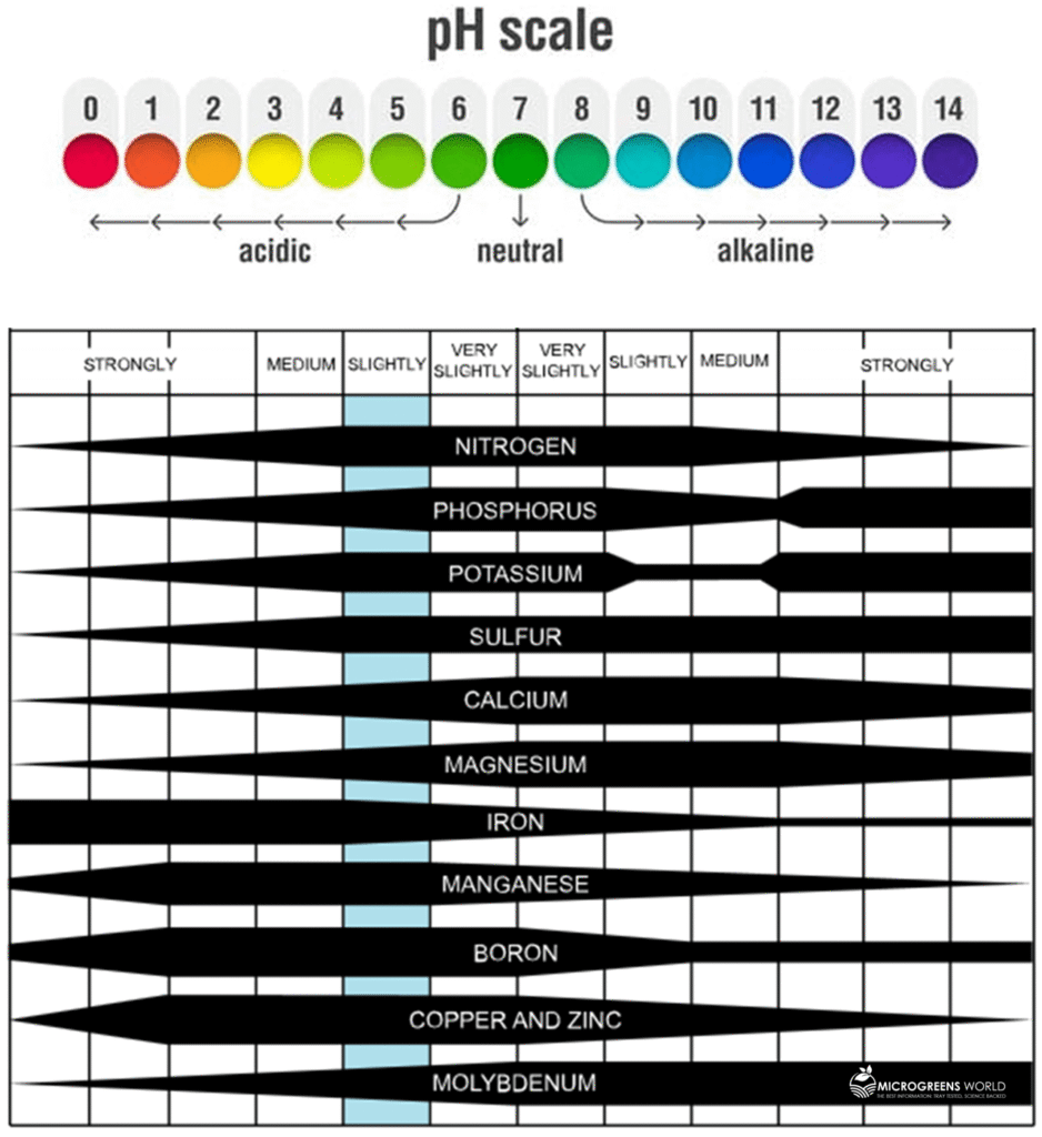 The Complete Guide to Microgreens Water: Perfect pH, Watering Methods & Solutions for Thriving Growth 3 Microgreens Water Requirements