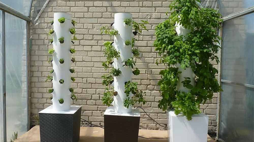 The Complete Guide to Vertical Gardening 3 Vertical Gardening