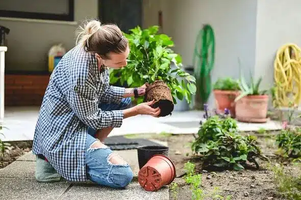 Fixing Common Problems in Balcony Gardens