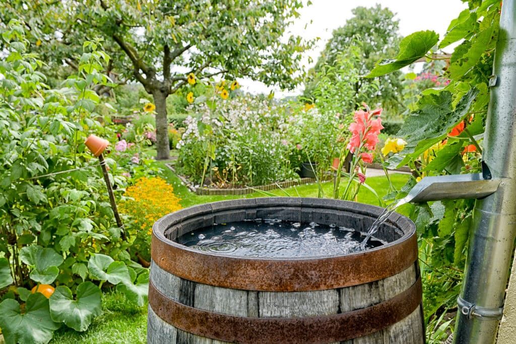 Rainwater Harvesting for Urban Gardens 2 Rainwater Harvesting for Urban Gardens