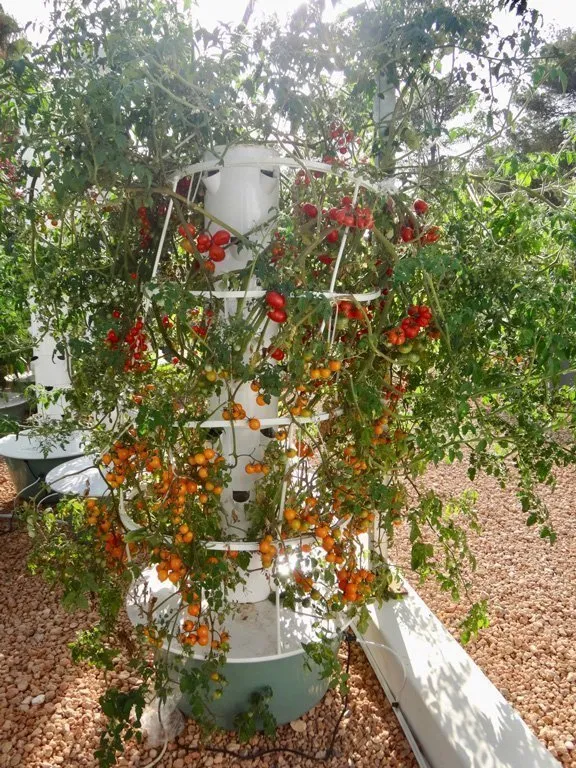 The Complete Guide to Vertical Gardening 5 Vertical Gardening