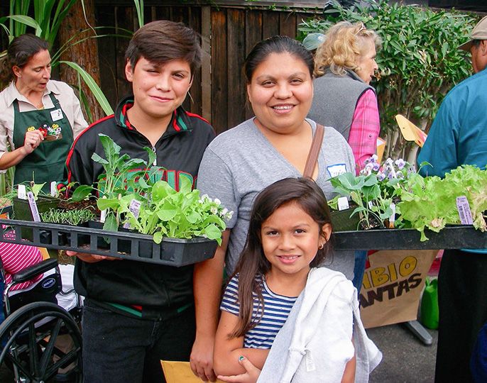 Urban Food Security: Complete Guide to Growing Solutions in Cities 1 Urban Food Security