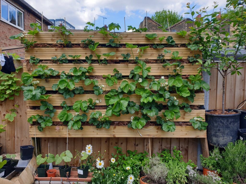 The Complete Guide to Vertical Gardening 6 Vertical Gardening