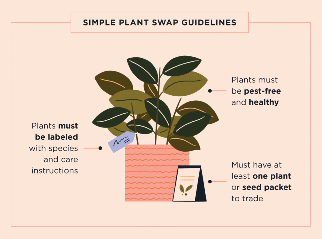 Hosting a Plant Swap in Your Neighborhood: Your Complete Guide 2 Plant Swap in Your Neighborhood
